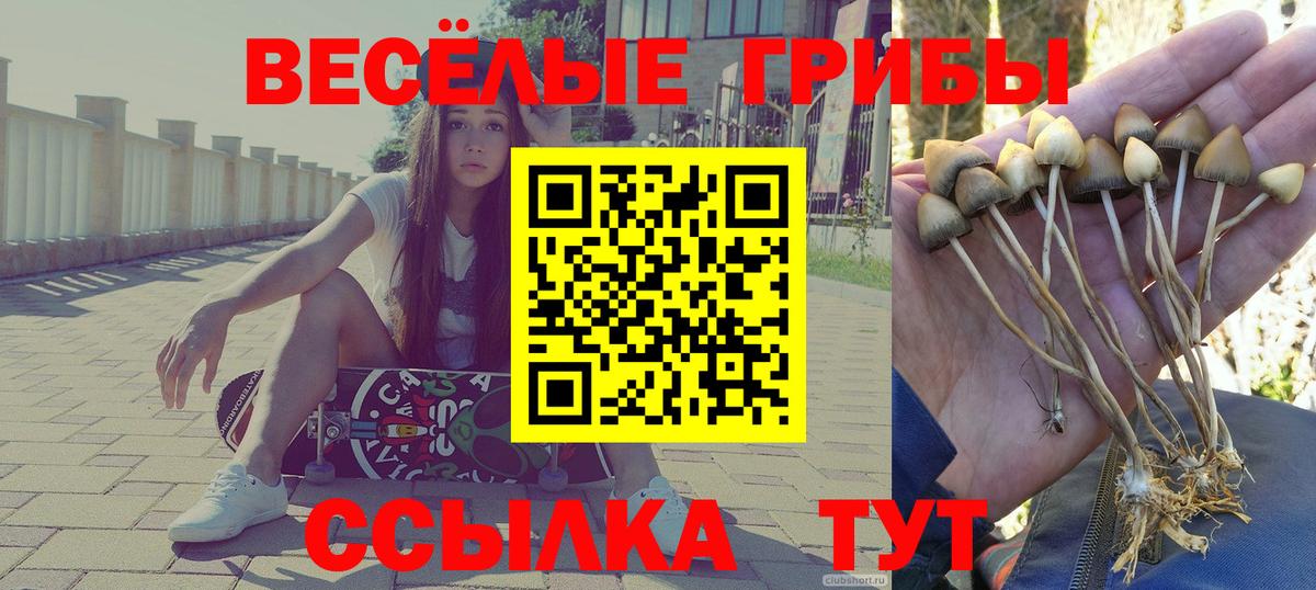 Галлюциногенные грибы мухоморы  Галлюциногенные грибы Magic Shrooms  Вход с VPN  Нерюнгри 
