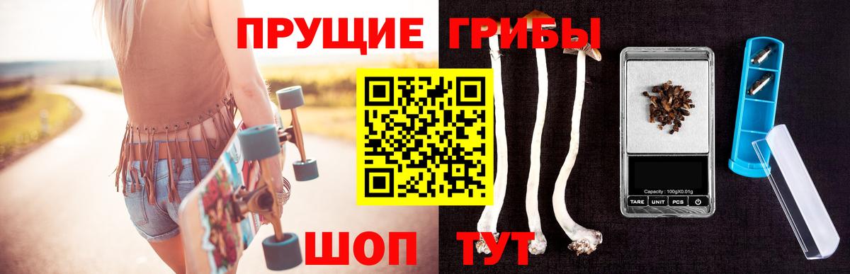Псилоцибиновые грибы мицелий Нерюнгри